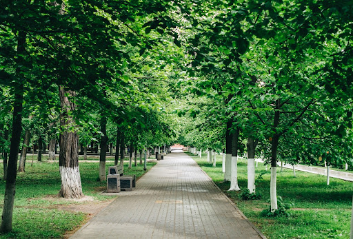 Green City. ¿Qué es y por qué será el futuro?